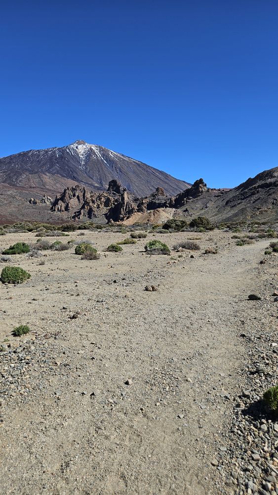 Day 1, the volcanic plateau near Teide