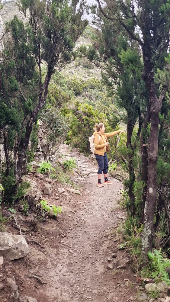 Day 3, ancient goat paths