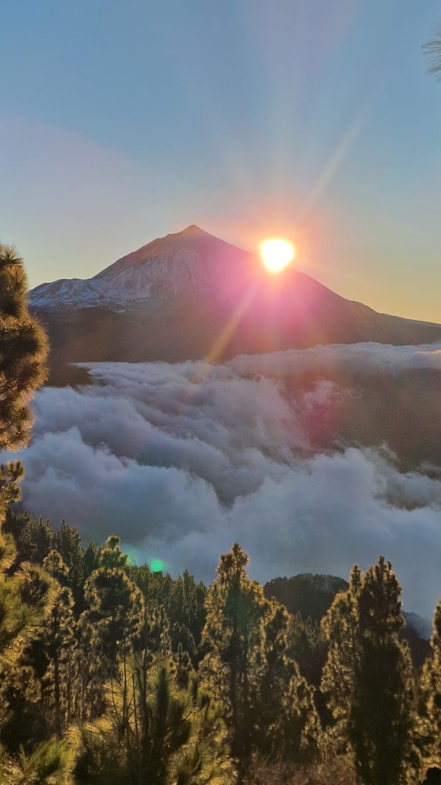 Mount Teide at sunrise above the clouds, Tenerife