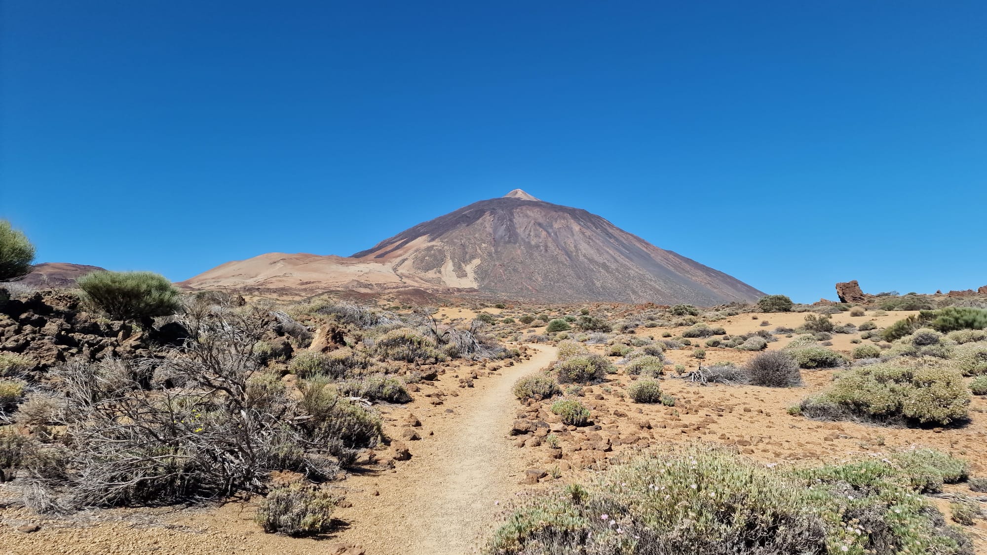 A walking path leading toward Mount Teide, Tenerife